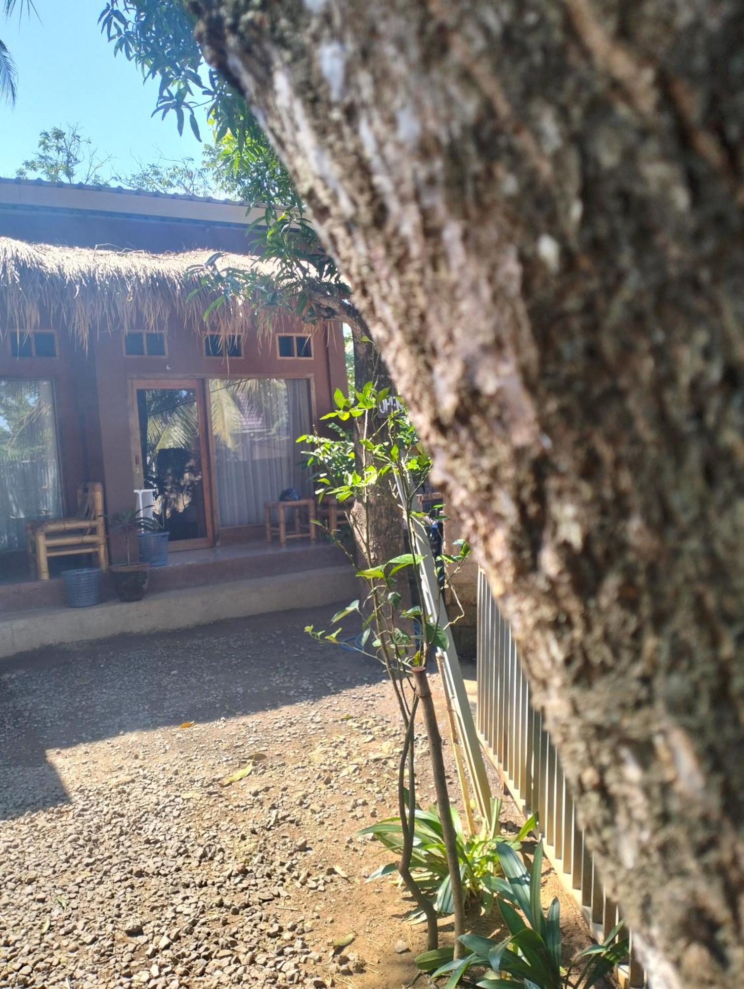 Fullmoon Homestay Kuta  Экстерьер фото
